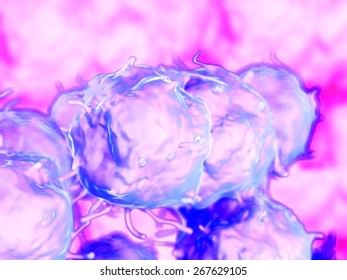 Embryonic Stem Cells