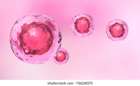 Embryonic Stem Cells, 3d Rendering