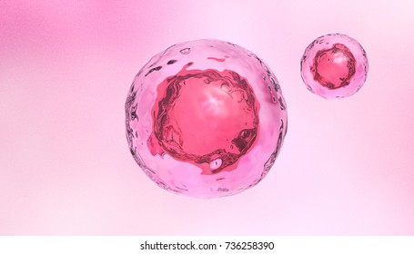 Embryonic Stem Cells, 3d Rendering