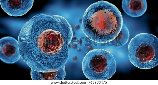 Embryonic\
stem cells , Cellular therapy , 3d\
rendering