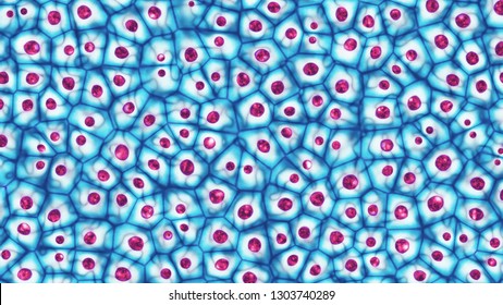Embryonic Stem Cells Colony Under A Microscope. Cellular Therapy And Research Of Regeneration And Disease Treatment In Seamless 3D Illustration. Biology And Medicine Of Human Body Concept. 4K