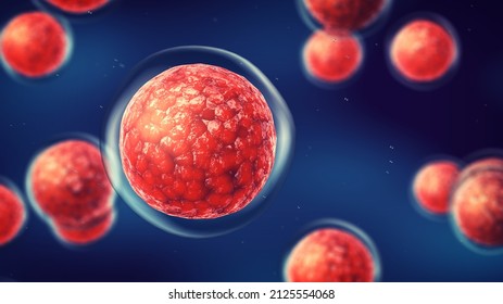Embryonic stem cells. Repairing damaged cells by reducing inflammation and modulating the immune system. Stem cell therapy 3d illustration concept