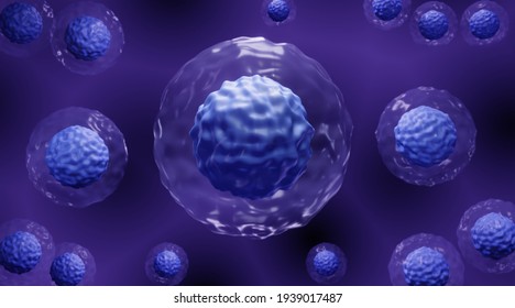 Embryonic Stem Cells Therapy, Hematopoietic Stem Cell Transplantation, 3d Illustration