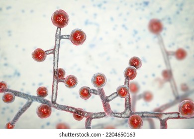 Emmonsia Microscopic Pathogenic Fungi, 3D Illustration. The Causative Agent Of Adiaspiromycosis Pulmonary Disease In Small Animals, And Also Lung And Disseminated Infections In HIV-positive Patients