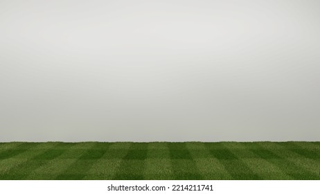 Empty display on pattern grass bakcground concept. Blank product standing backdrop. 3D Illustration. 3D Rendering