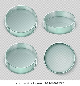 Empty Glass Petri Dish. Biology Lab Dishes Illustration Isolated On Background. Lab Glass For Test, Dish Petri, Medical Glassware