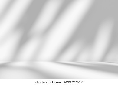Empty gray room studio with shadow of tree leaves on the wall and floor for product presentation. Sunlight effect shadow concept. Minimal room backdrop design. Cosmetic, beauty and fashion showroom.