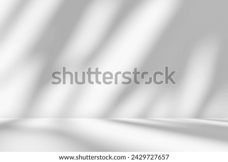 Empty gray room studio with shadow of tree leaves on the wall and floor for product presentation. Sunlight effect shadow concept. Minimal room backdrop design. Cosmetic, beauty and fashion showroom.
