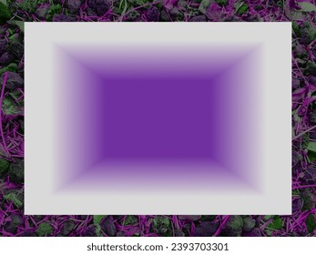 Empty lilac studio room background on purple and green colors, use as montage for product.