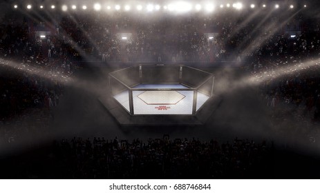 Empty mma arena side view under lights. complete tribune. 3D rendering