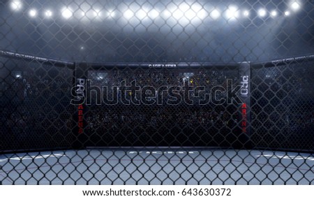 Empty mma arena side view under lights. complete tribune. 3D rendering