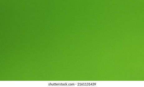 Empty Paper Board In Light Green Color For Text And Background. No People