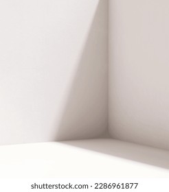 Empty room corner of smooth white wall and floor in sunlight, shadow for modern, minimal interior design, architecture, luxury product display background 3D