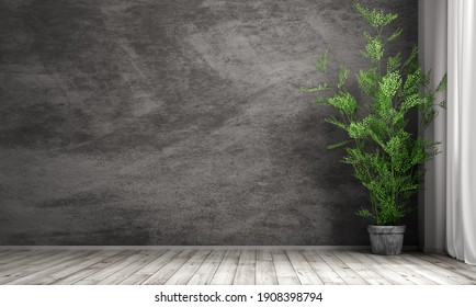 Empty room interior background, black stucco wall, pot with plant 3d rendering