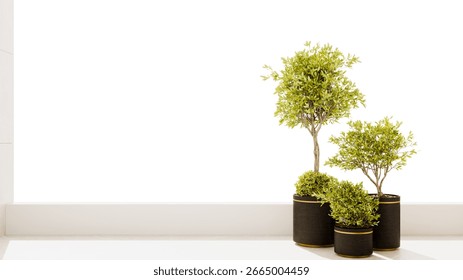 Empty room interior background, white courtain, pot with plant near the window, 3d rendering 3d illustration