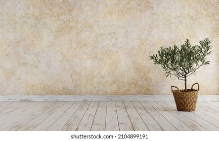 Empty room, olive tree in wicker basket against cracked, ancient wall. 3D render. 3D illustration.