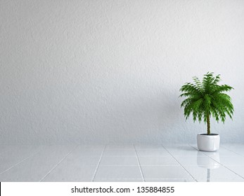 The empty room with plant near the wall