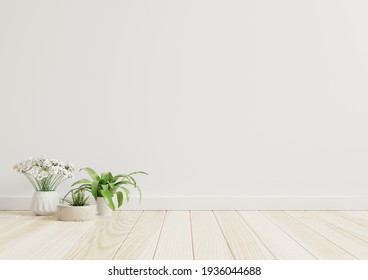Empty room white walls with beautiful plants sideways on the floor.3d rendering