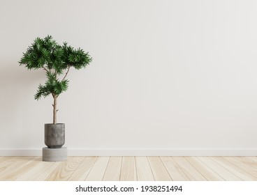 179,460 White room with green plant Images, Stock Photos & Vectors ...