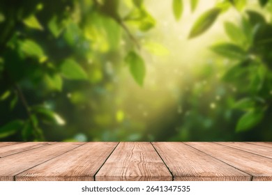 Empty rustic table in front of countryside background. product display and picnic concept