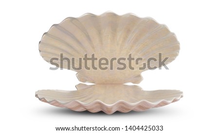 Empty sea shell. For your banner, poster, logo. Empty, blank, sea shell isolated on white background, 3d illustration