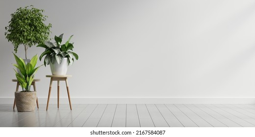 Empty White Room Interior With Plant Pot On A Wooden Floor.3D Rendering