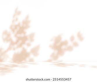 Empty white room studio with shadow of leaves tree plant for product presentation. Autumn background. Summer tropical backdrop. Cosmetic showroom.