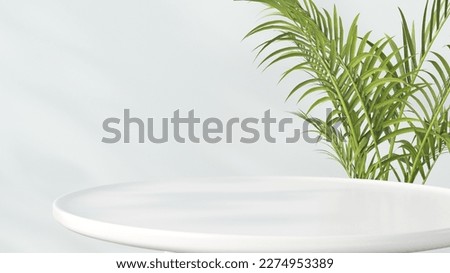 Empty white round table with green palm, sunlight, leaves shadow in white wall background, 3D render
