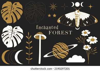 Enchanted, Celestial Or Witchy Forest