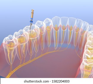 172 3d Nerve Filling Images, Stock Photos & Vectors | Shutterstock