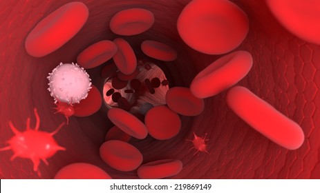 Endothelium, Erythrocyte, Medical 3d Illustration - Human Blood Cells