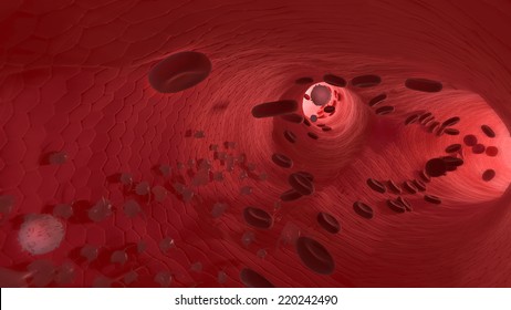 Endothelium, Medical 3d Illustration - Human Blood Cells. Erythrocyte