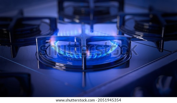 Energy crisis: Natural gas prices in Europe hit\
record. Natural gas cooker burning flames of methane gas. Domestic\
kitchen stove closeup 3D shot of blue fire. Fuel economy, EU\
industrial energy\
crunch