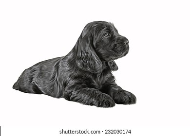 Cartoon Cocker Spaniel Images, Stock Photos & Vectors | Shutterstock