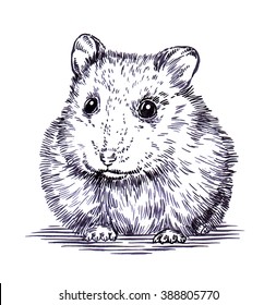 1,699 Hamster sketch Images, Stock Photos & Vectors | Shutterstock