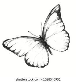 Engraving Butterfly Pencil Drawing Insect Isolated Stock Illustration ...