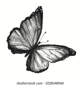 Engraving Butterfly Pencil Drawing Insect Isolated Stock Illustration ...