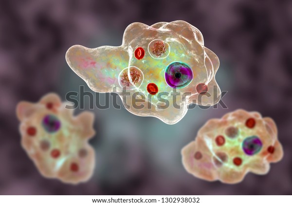 Entamoeba Gingivalis Protozoan 3d Illustration Amoeba Stock Illustration 1302938032 3929