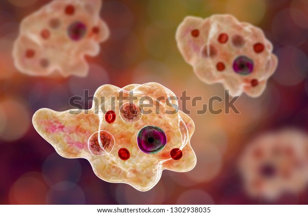 Entamoeba Gingivalis Protozoan 3d Illustration Amoeba Stock ...