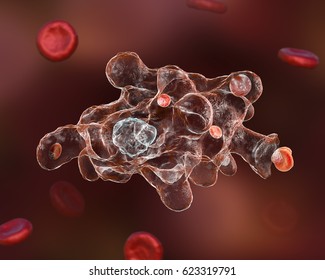 Entamoeba histolytica protozoan engulfing red blood cells. Parasite which causes amoebic dysentery and ulcers. It has ability to engulf red blood cells and is called erythrophage 3D illustration Stock Illustration