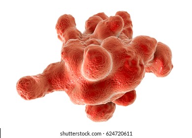 Entamoeba histolytica protozoan isolated on white background. Parasite which causes amoebic dysentery and ulcers, 3D illustration Stock Illustration