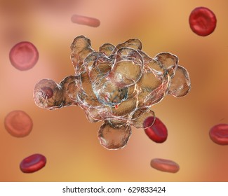 Entamoeba histolytica protozoan. Parasite which causes amoebic dysentery and ulcers, 3D illustration Stock Illustration