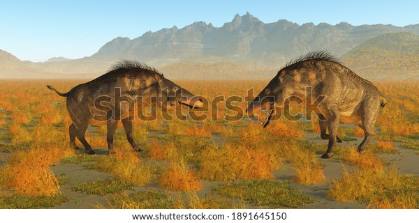 Entelodon Animal Fight 3d illustration - \
Two omnivorous Entelodon pigs face each other in a territorial\
fight during Europe\'s prehistoric Eocene\
Period.