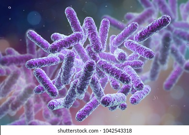 Enterobacteriaceae, gram-negative rod-shaped bacteria, part of intestinal microbiome and causative agents of different infections, 3D illustration. Escherichia coli, Klebsiella, Enterobacter and other