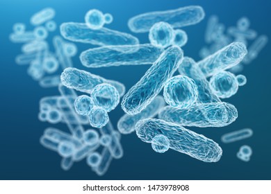 Enterobacteriaceae, gram-negative rod-shaped bacteria, part of intestinal microbiome and causative agents of different infections, 3D rendering. Escherichia coli, Klebsiella, Enterobacter and other