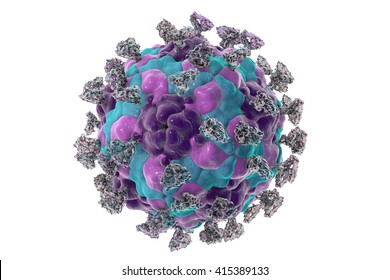Enterovirus with attached integrin molecules, 3D illustration