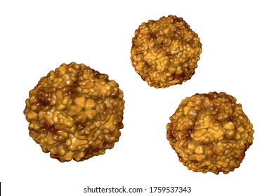 Enteroviruses, a group of RNA-viruses of the Picornaviridae family including Echoviruses, Coxsackieviruses, Rhinoviruses, Poliovirus and other, 3D illustration