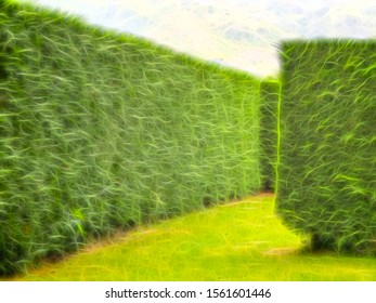 Entrance To Hedge Maze In New Zealand, With Digital Glow Effect, For Themes Of Teasers And Design, Mystery And The Unknown, Curiosity