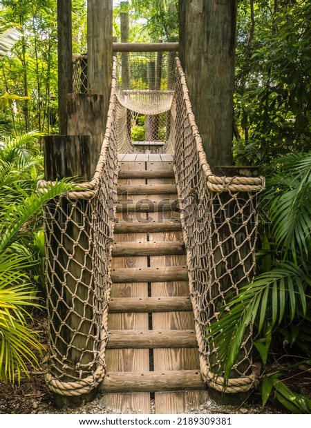 Entrance\
ramp to a canopy walk and rope bridge in a rainforest garden for\
children and parents in a subtropical public garden in Florida.\
Light digital oil-painting effect, 3D\
rendering.