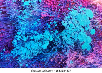 Epoxy Resin Petri Dish Art Macro Photo, Abstract Background